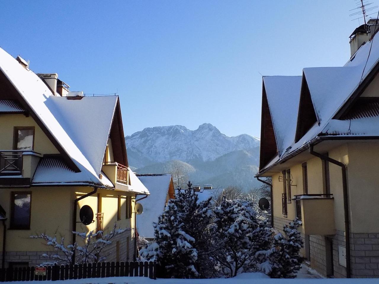 Apartament Giewont Panorama 考斯赛力克 外观 照片